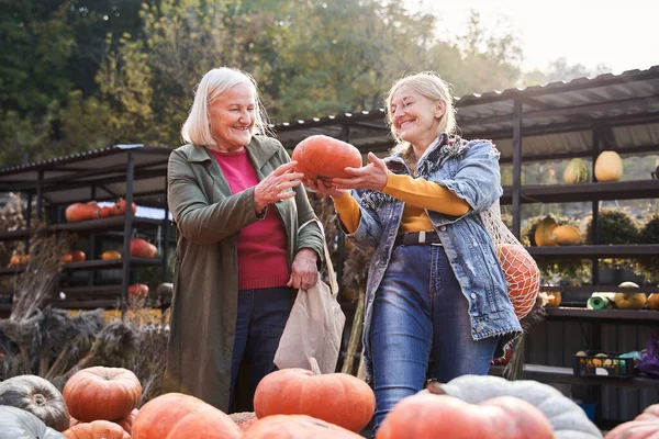 Madre e hija sosteniendo gran calabaza naranja —  Fotos de Stock