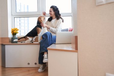 İtaatkar benekli köpek pencere eşiğinde oturuyor.