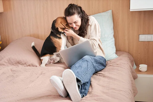 Cão lambe a orelha de seu dono — Fotografia de Stock