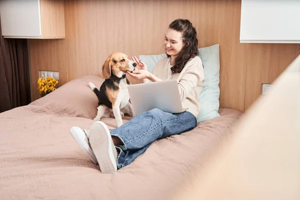 Woman trying to play with a resisting spotted dog — Stock Photo, Image