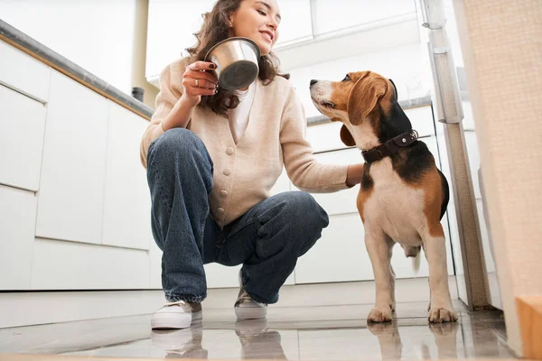 Frau lobt ihren gefleckten Hund — Stockfoto