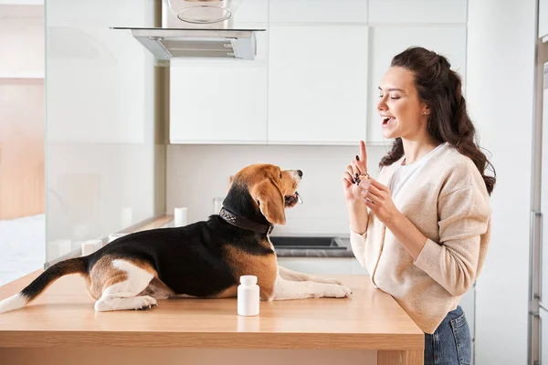 Kobieta sugerując jej pies do jedzenia witaminy przed posiłkami — Zdjęcie stockowe