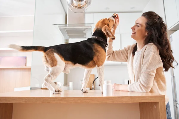 Woman giving a healthy pill to her spotted pet — Stock Photo, Image