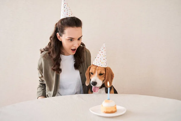 Femme regardant son chien gâteau d'anniversaire — Photo