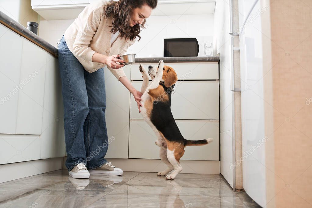 Owner feeding dog at the kitchen