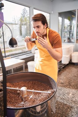 Usta kahve tanelerini kepçeyle koklarken