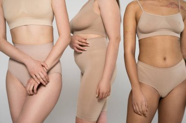 Farklı vücutlara sahip üç kız kameranın önünde iç çamaşırlarıyla poz veriyor.