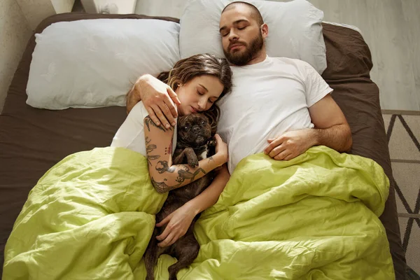 Par koppla av och sova på sängen med sin lekfulla bulldog valp — Stockfoto