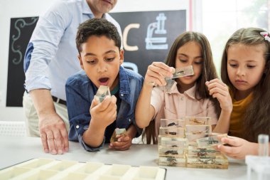 Şok olmuş çok ırklı çocuk camdaki bir böceği inceliyor.