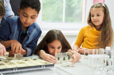 Kız, sınıf arkadaşları camda böcek örneklerini incelerken...