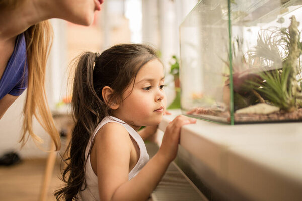 Girl peeking into the terrarium together with her adult mother at home