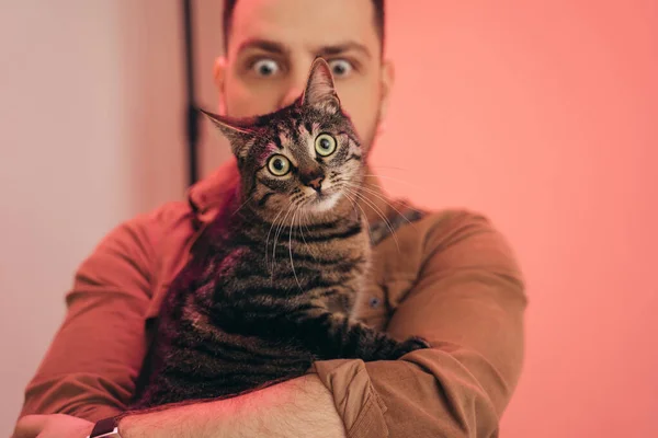Homem posando com seu gato listrado com focinho surpreso nas mãos — Fotografia de Stock