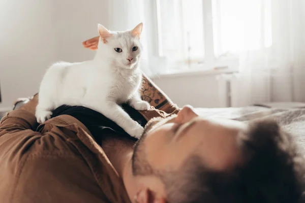 Gato blanco tendido en su dueño barbudo y mirando a la cámara mientras se relaja —  Fotos de Stock