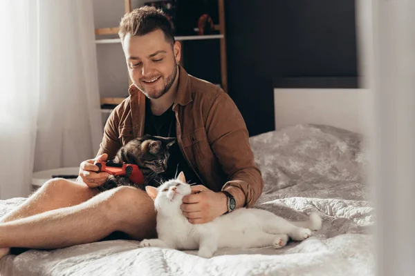 Man sitting at the bed with striped cat at the knees and stroking his white cat — Stock fotografie