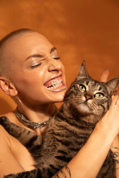 Woman playfully growls at her stripped cat while posing at the studio — Photo