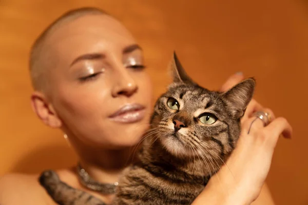 Woman holding at the hands her striped cat and looking at him at the studio — Stock fotografie