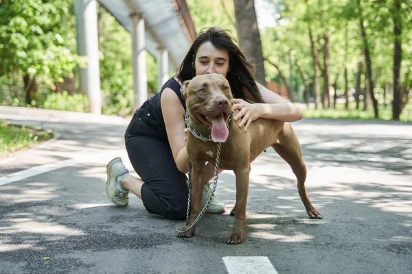 Бурая собака смотрит в сторону, проводя время со своим хозяином на улице — стоковое фото
