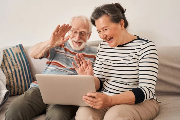 Старша пара тримає відеодзвінок зі своєю сім'єю або друзями з ноутбука — стокове фото