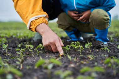 Adam küçük filizi parmağıyla gösterip meraklı oğluna bir şey söylüyor.