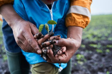 Baba küçük oğluna yardım ediyor. Bataklıkta ve yerde yeşil filiz tutuyor.