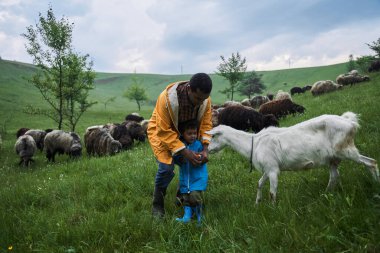 Baba ve oğul yeşil tepelerde yürüyor ve harika hissediyorlar.