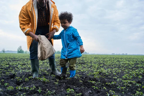 Man and his little son wearing raincoats cleaning field while picking up paper bags — Stock Photo, Image