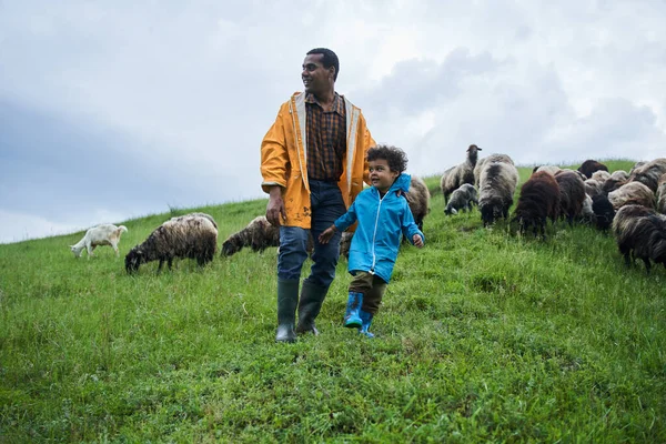 Семья отца и сына бежит по зеленым холмам и оглядывается вокруг — стоковое фото