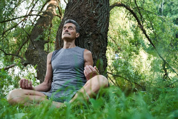 Человек закрывает глаза, сидя в положении йоги в лесу. — стоковое фото
