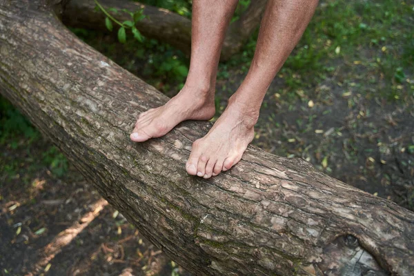 Uomo anziano mantenendo le gambe al tronco dell'albero mentre si rilassa nella foresta — Foto Stock