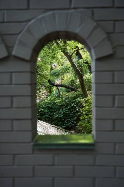 View from the window of the green fresh park or forest