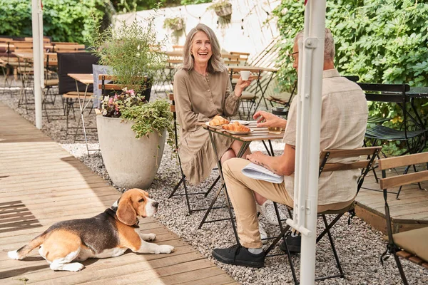 Senior husband and wife and their beagle dog relaxing at the summer cafe — Stockfoto