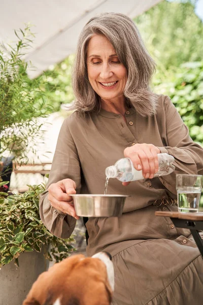 Old woman pouring water at the dog bowl for her beagle