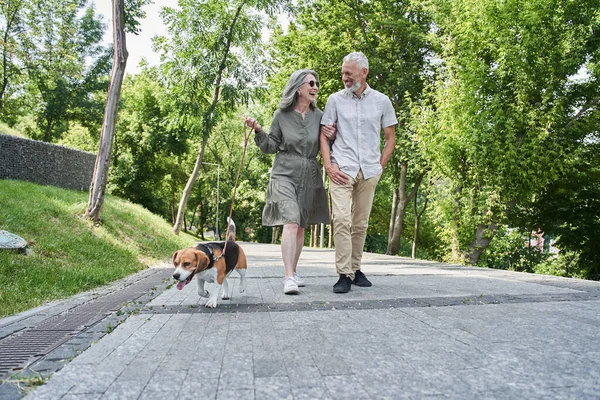 Пара пенсионеров наслаждаются летней прогулкой по парку — стоковое фото