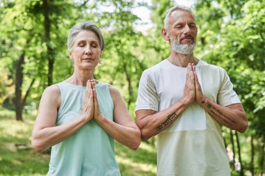 Calm senior couple keeping eyes closed and meditating at the cozy forest or park