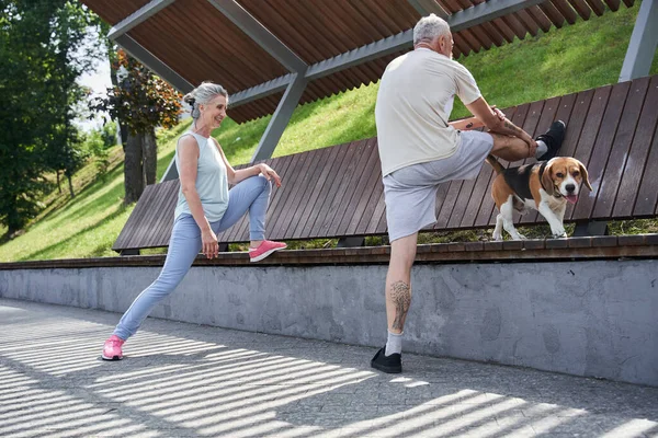 Reife Ehepartner trainieren auf der Straße mit ihrem Beagle-Hund und haben Spaß — Stockfoto