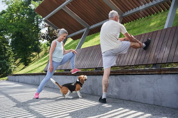 Reife Ehepartner trainieren auf der Straße mit ihrem Beagle-Hund und haben Spaß — Stockfoto