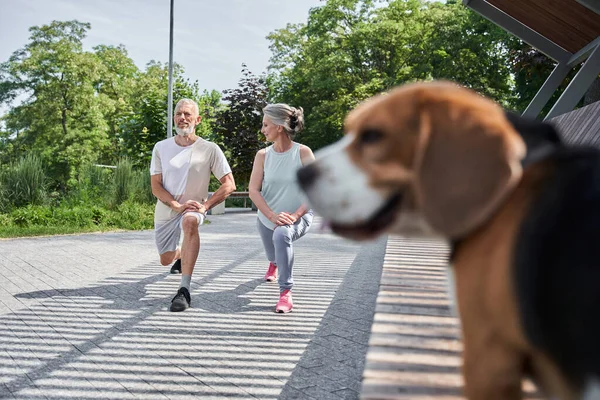 Reif mann und frau are having joint training auf die sommerstraße — Stockfoto