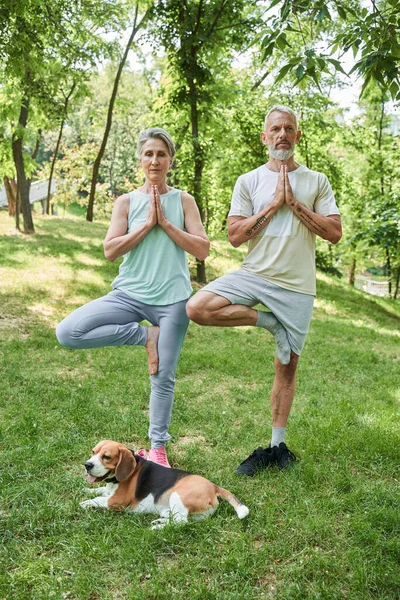 Пара упражнений йоги, стоя на одной ноге и глядя в сторону серьезно — стоковое фото