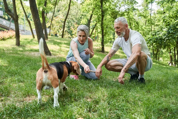 Cheerful elderly twosome locating at the grass on lawn or park — Stockfoto