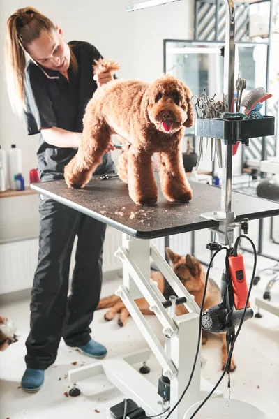 Groomer in piedi al salone e rispondere alla telefonata — Foto Stock