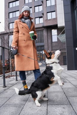 Benekli Corgisiyle yürüyen yapay bacaklı bir kadın.