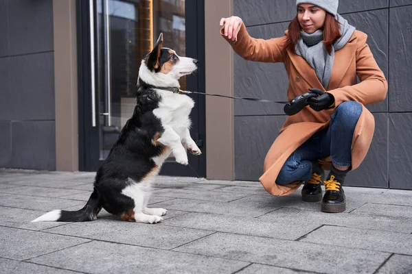Woman with prosthesis arm spending time with her corgi — Stock Photo, Image