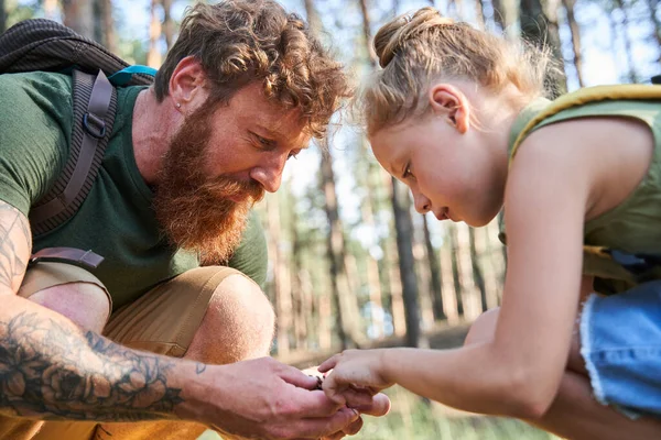 Otec a dcera studují borový kužel v lese — Stock fotografie