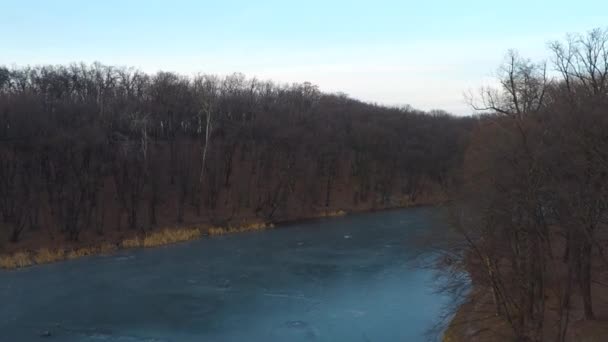 Río congelado en el parque de invierno — Vídeo de stock