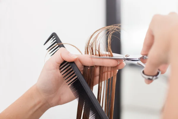 Joven estilista calificada está haciendo un corte de pelo a su cliente —  Fotos de Stock
