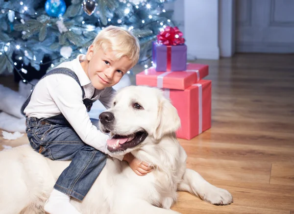 Pretty small child is playing with pet in New Year — Stock Photo, Image