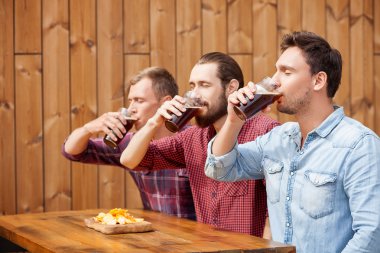 Handsome male friends are swigging lager in bar clipart