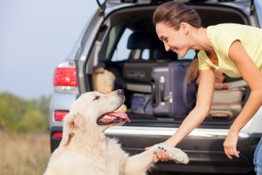 Attractive young girl and puppy near transport in park