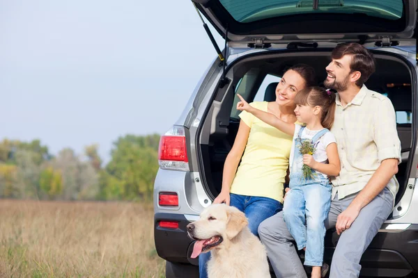 Cute friendly family is resting in forest near vehicle — Stockfoto