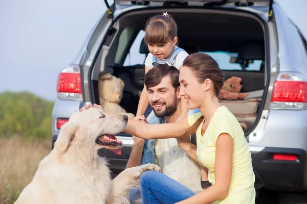 Cheerful family with puppy near vehicle in meadow — ストック写真